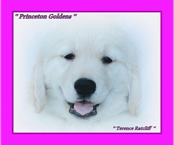 Medium Photo #1  Breeder Profile in PRINCETON, WV, USA