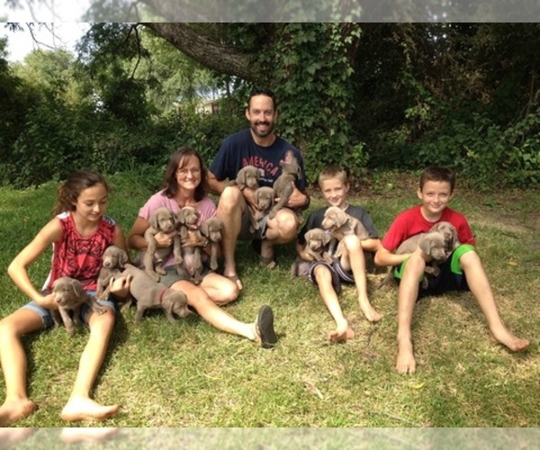 Medium Photo #1  Breeder Profile in WEATHERFORD, TX, USA