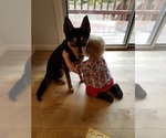 Small #17 Breeder Profile image