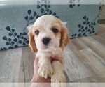 Small #5 Breeder Profile image