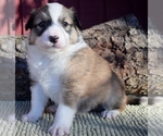 Small breeder photo