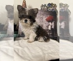 Small #6 Breeder Profile image