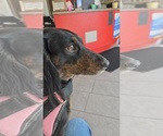 Small #4 Breeder Profile image