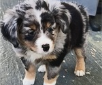 Small #5 Breeder Profile image