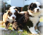 Small #1 Breeder Profile image