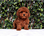 Small #1 Breeder Profile image