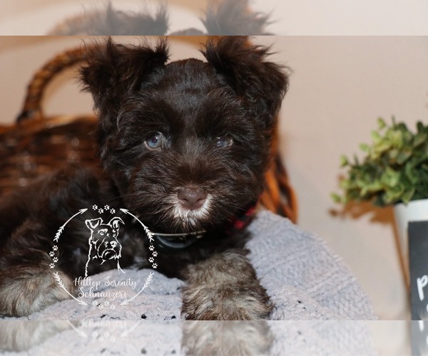 Medium Photo #1  Breeder Profile in ROBINSON, TX, USA