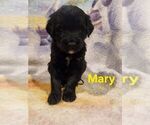 Small #7 Breeder Profile image