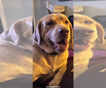 Small #2 Breeder Profile image