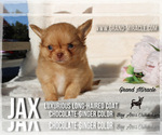 Small #4 Breeder Profile image