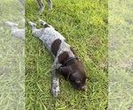 Small #26 Breeder Profile image