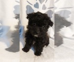 Small #5 Breeder Profile image