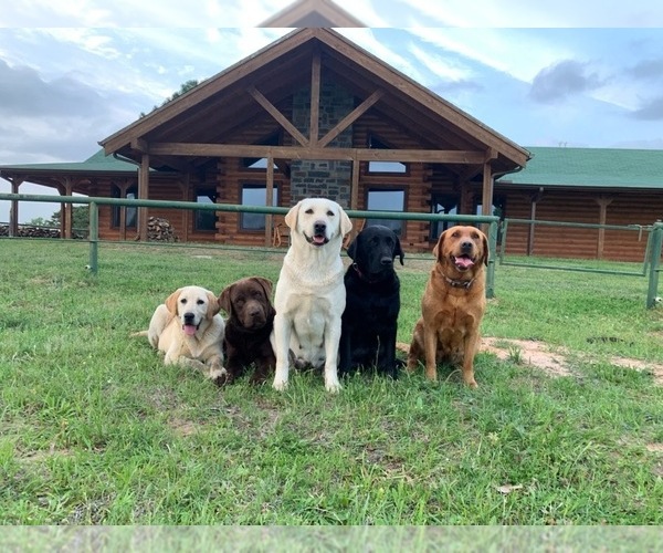Medium Photo #1  Breeder Profile in EDGEWOOD, TX, USA