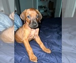 Small #57 Breeder Profile image