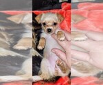 Small #349 Breeder Profile image