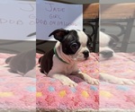 Small #1 Breeder Profile image
