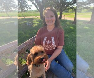 Poodle (Miniature) Dog Breeder near HADDAM, KS, USA