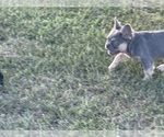 Small #4 Breeder Profile image