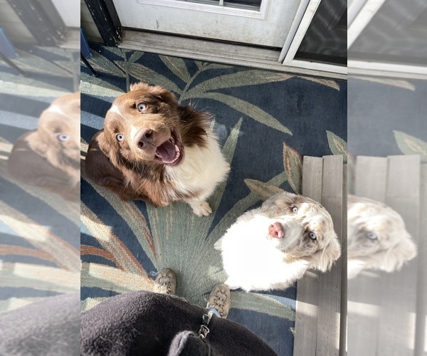 Medium Photo #7  Breeder Profile in BELMONT, VT, USA