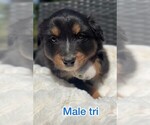 Small #4 Breeder Profile image