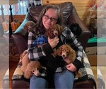 Small breeder photo
