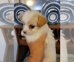 Small #14 Breeder Profile image