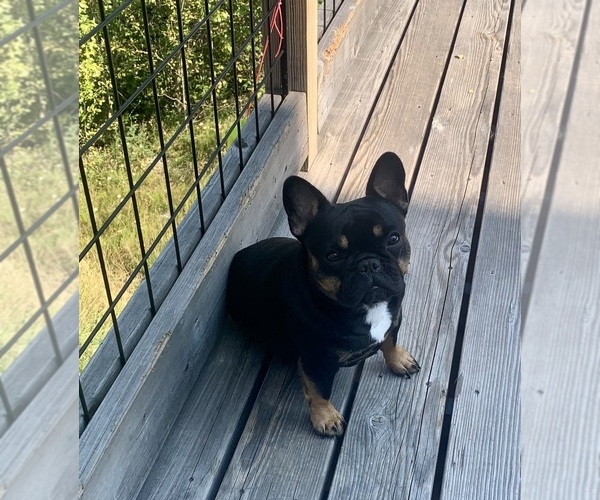 Medium Photo #27  Breeder Profile in KALISPELL, MT, USA