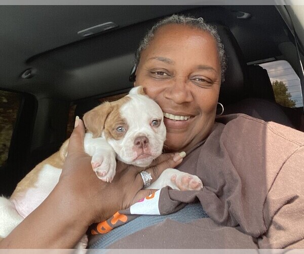 Medium Photo #1  Breeder Profile in LANCASTER, TX, USA