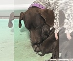 Small #14 Breeder Profile image