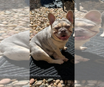 Small #5 Breeder Profile image