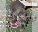 Small #4 Breeder Profile image