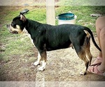 Small #23 Breeder Profile image