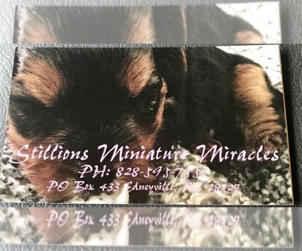 Medium Photo #1  Breeder Profile in EDNEYVILLE, NC, USA