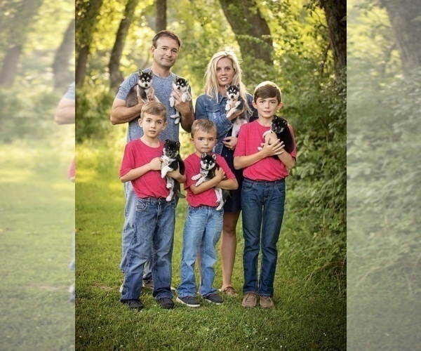 Medium Photo #1  Breeder Profile in WILLIAMSBURG, OH, USA