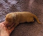 Small #15 Breeder Profile image