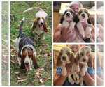 Small #10 Breeder Profile image