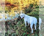 Small Photo #12  Breeder Profile in TOMBALL, TX, USA