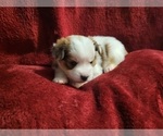 Small #83 Breeder Profile image