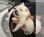 Small #3 Breeder Profile image