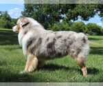 Small #2 Breeder Profile image