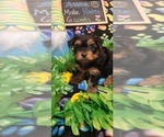 Small #205 Breeder Profile image