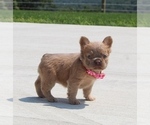Small #13 Breeder Profile image