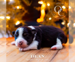 Small #6 Breeder Profile image