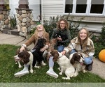 Small #4 Breeder Profile image