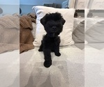 Small #5 Breeder Profile image
