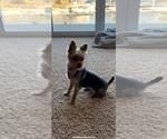 Small #18 Breeder Profile image