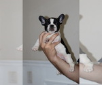 Small #5 Breeder Profile image