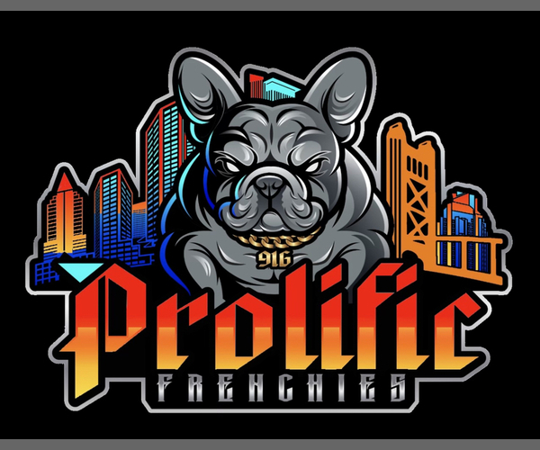 Medium Photo #1  Breeder Profile in ANTELOPE, CA, USA