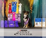 Small #3 Breeder Profile image