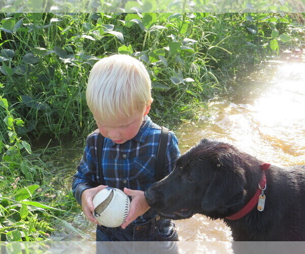 Medium Photo #14  Breeder Profile in LOUDONVILLE, OH, USA